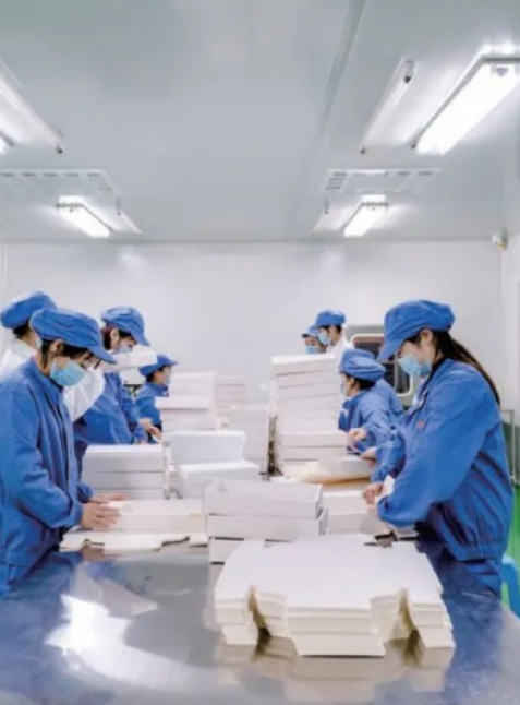 消字号、妆字号净化系统工程